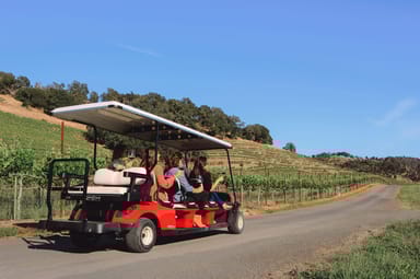 Vineyard Odyssey Tour, Wine Tasting, and Charcuterie for Two at Chimney Rock Winery