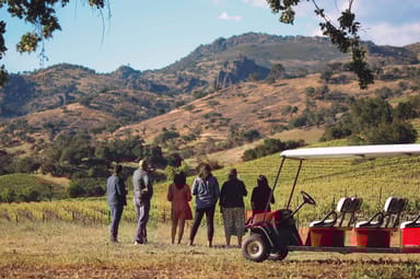 Vineyard Odyssey Tour, Wine Tasting, and Charcuterie for Two at Chimney Rock Winery