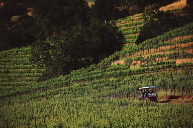 Vineyard Odyssey Tour, Wine Tasting, and Charcuterie for Two at Chimney Rock Winery