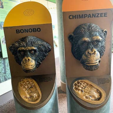 Lincoln Park Zoo Scavenger Hunt