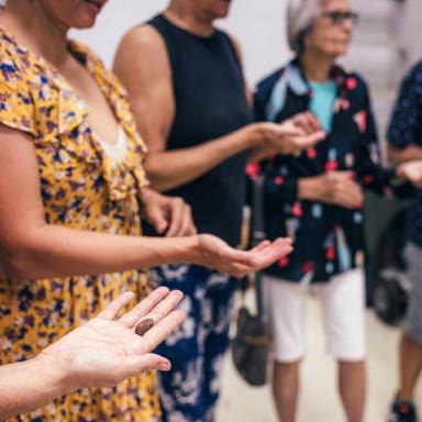 Chocolate Factory Tour and Tasting