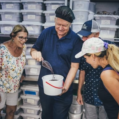 Chocolate Factory Tour and Tasting