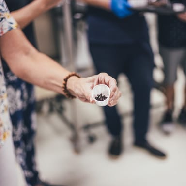 Chocolate Factory Tour and Tasting