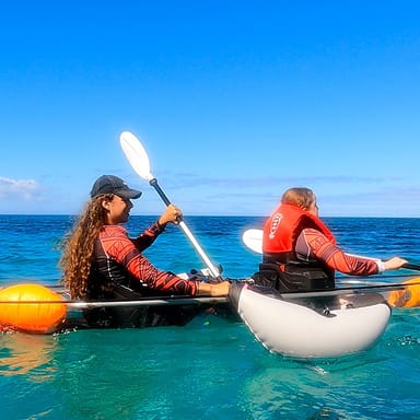 Guided Reef Tour in Clear Kayaks