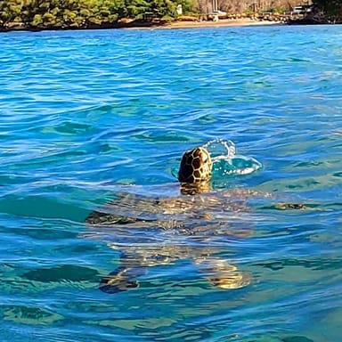 Guided Reef Tour in Clear Kayaks