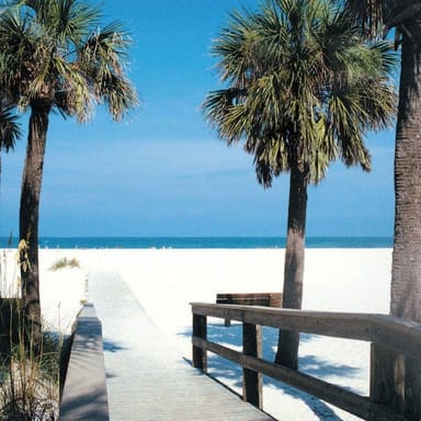 Full-Day Orlando to Clearwater Beach Adventure