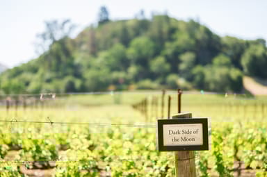 Reserved Wine Tasting for Two at Cliff Lede Vineyards