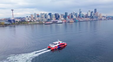 Wildlife and Whale Watching Expedition
