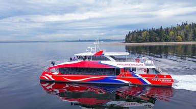 Wildlife and Whale Watching Expedition