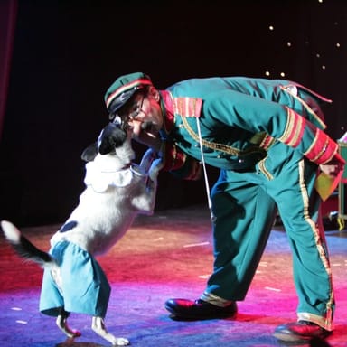 VIP Tickets to the Comedy Pet Theater