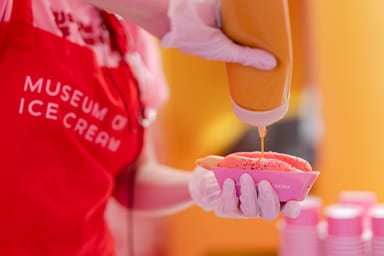 Chicago River Architecture Cruise and Museum of Ice Cream General Admission for Two