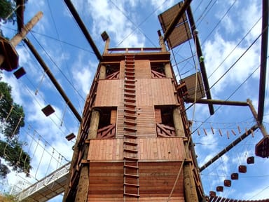 Adventure Course in Oahu