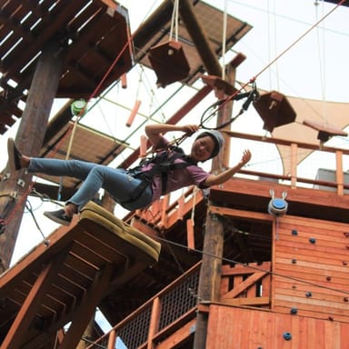 Aerial Challenge Course
