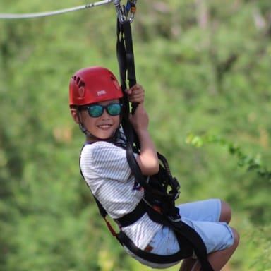 Half-Zipline Tour