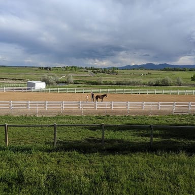 One-of-a-Kind Horse Whisperer Experience