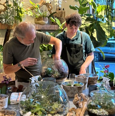 Create Your Own Tropical Orchid Terrarium