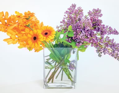 Hands-On Floral Design and Flower Arranging Workshop