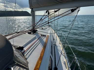 Oyster Bay Harbor Swim and Sail Experience