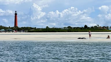 Southern Inlet and Lighthouses Scenic Cruise