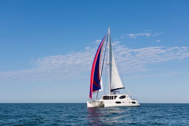 Scenic Catamaran Cruise on Chesapeake Bay - Weekend
