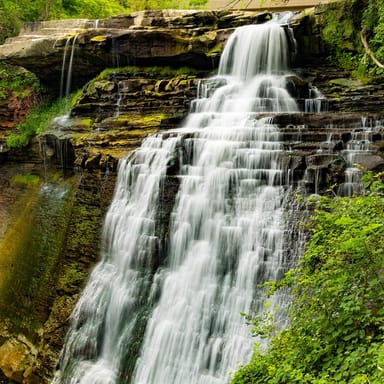 Cuyahoga Valley Mystery Picnic for Two