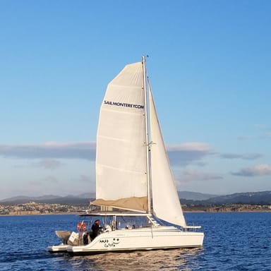 Monterey Bay Catamaran Cruise
