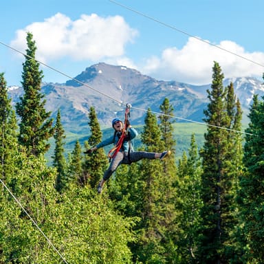 Denali Park Zipline Adventure