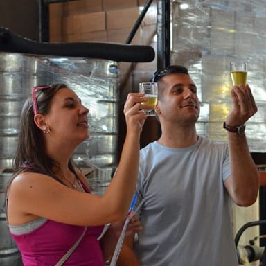 Denver Microbrew Tour