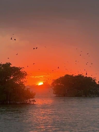 Scenic Sunset Cruise in Cocoa Beach
