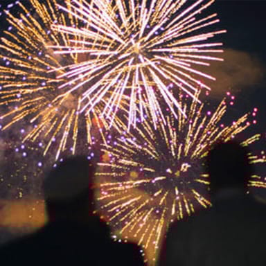 Chicago Fireworks Dinner Cruise