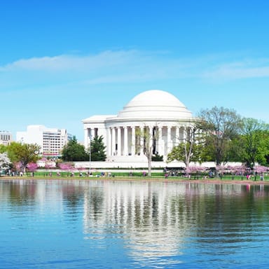 DC in a Day Closed-Top Bus Tour