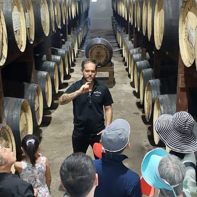 Private Old San Juan Sightseeing and Rum Distillery Tour