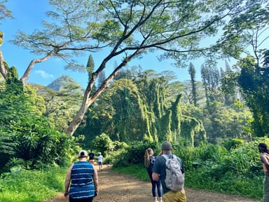 Hike to Manoa Falls