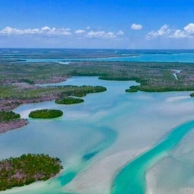 Dolphin Sightseeing and Shell Collecting Tour