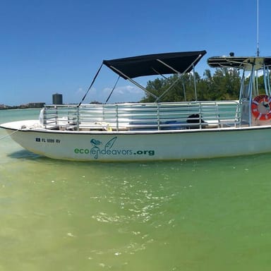 Private Dolphin Sightseeing and Shell Collecting Tour