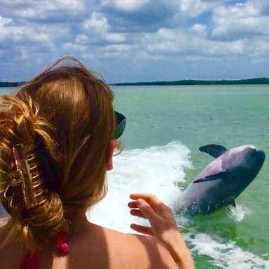 Dolphin Sightseeing and Shell Collecting Tour