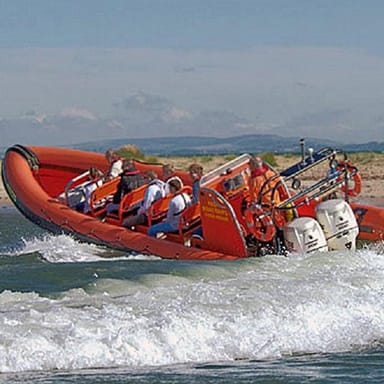 OC Beaches Tour with Dolphin and Whale Adventure