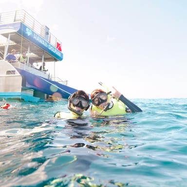 Swim with Wild Dolphins and Sea Turtles Catamaran Tour