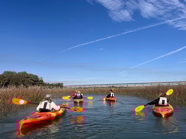 Historic Downtown Beaufort Kayak Tour