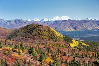 Backcountry Helicopter Alaskan Photo Tour