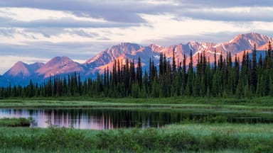 Midnight Sun Photo Tour