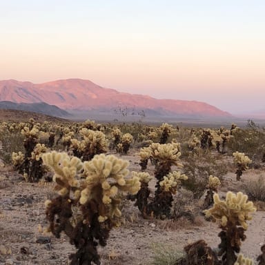 Indian Canyons Bike and Hike Adventure