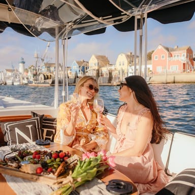 Private Electric Boat Tour with Wine and Charcuterie