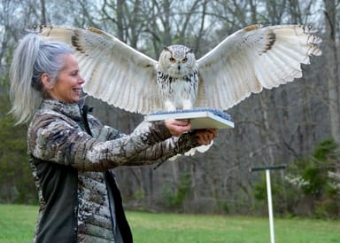 Intro to Falconry Lesson