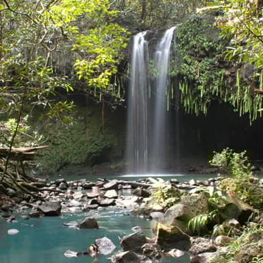 Waterfalls and Rainforest Hike
