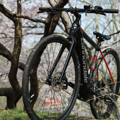 New York City E-Bike Adventure