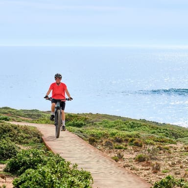 Half-Day E-Bike Rental