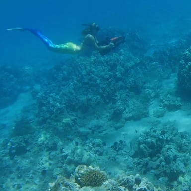 Sea Scooter Snorkeling Tour