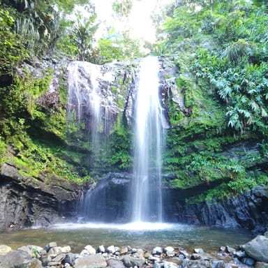 Old San Juan Sightseeing and Rainforest Tour