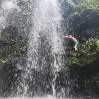 Private Old San Juan Sightseeing and Rainforest Tour